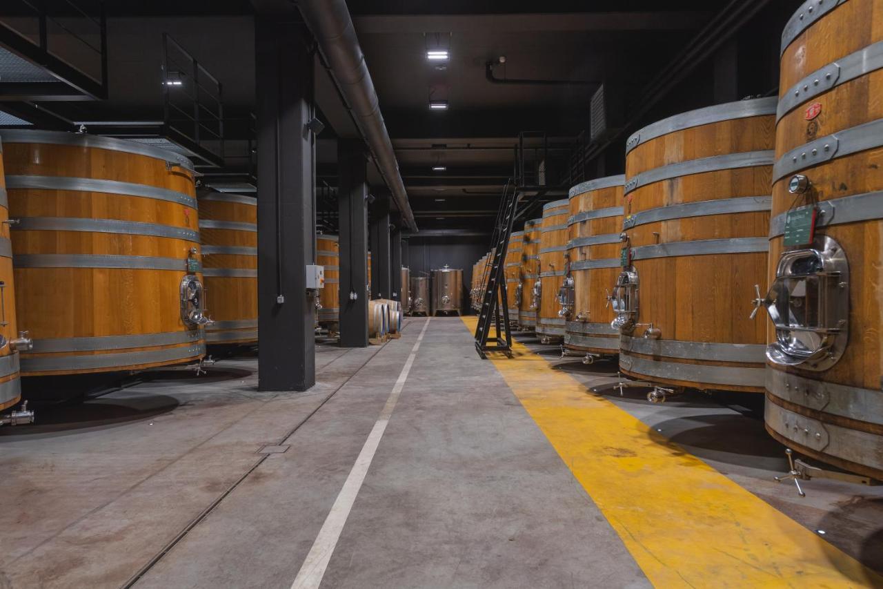 Winery & Design Hotel Roxanich Мотовун Экстерьер фото